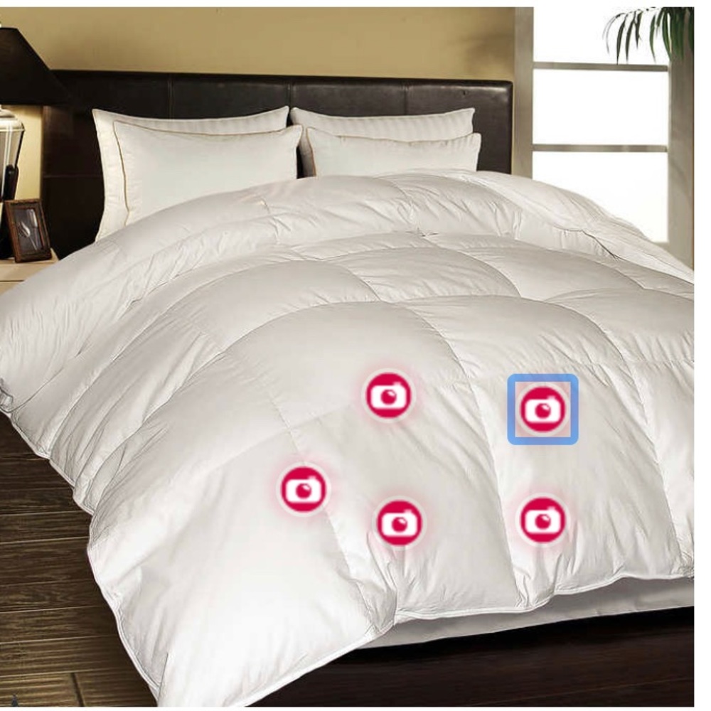 - Goose Feather and Down Comforter